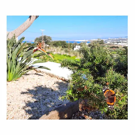 Koukounari Paros Apartment