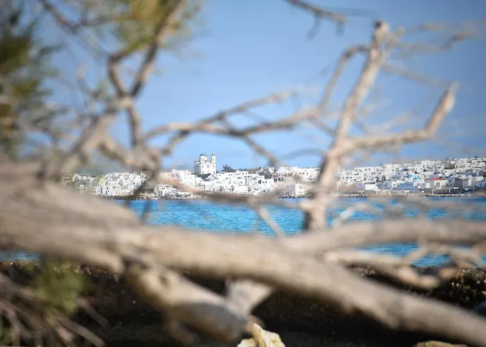 Apartament Koukounari Paros Nausa